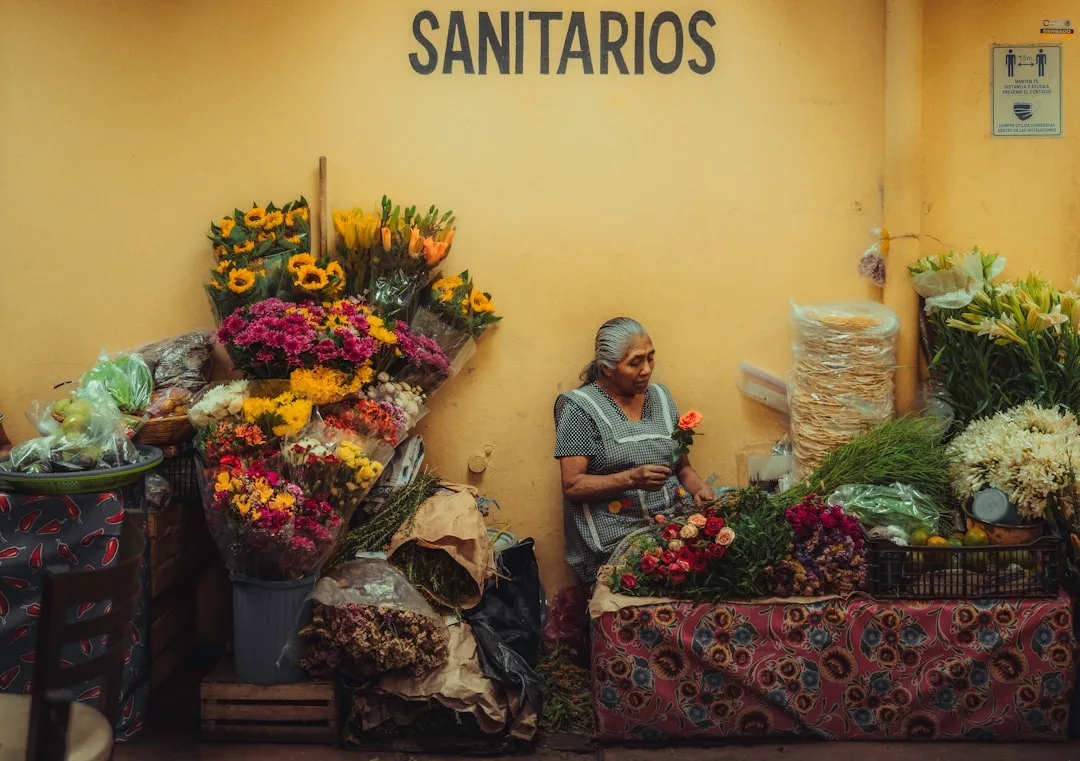 ¿Es buena Ciudad de México para nómadas digitales?