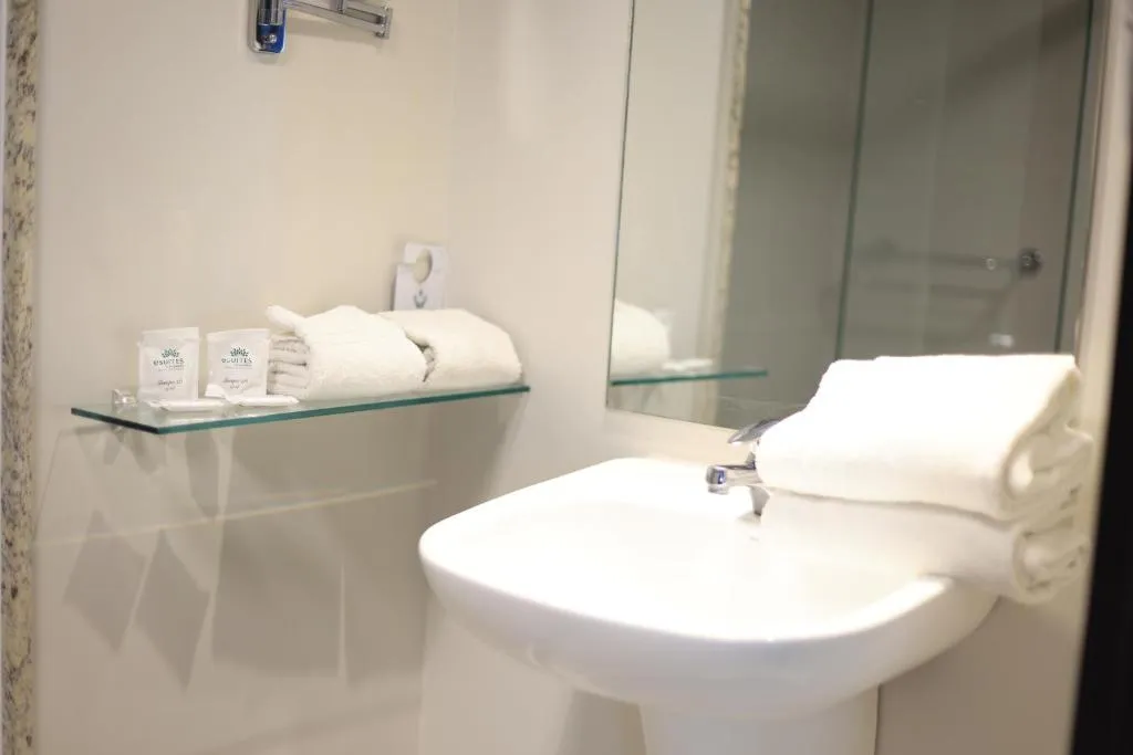 Esuites Hotel Recreio Shopping